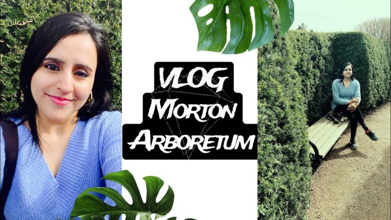 Read more about the article The Morton Arboretum park- Schuamberg Vlog #travelblog #tamil #vlog #mortonarboretum #illinois