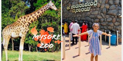 A day in Mysore zoo | Enjoyable time in Mysore zoo |  Journey weblog @Niya Shetty | Mysore Tourisum |
