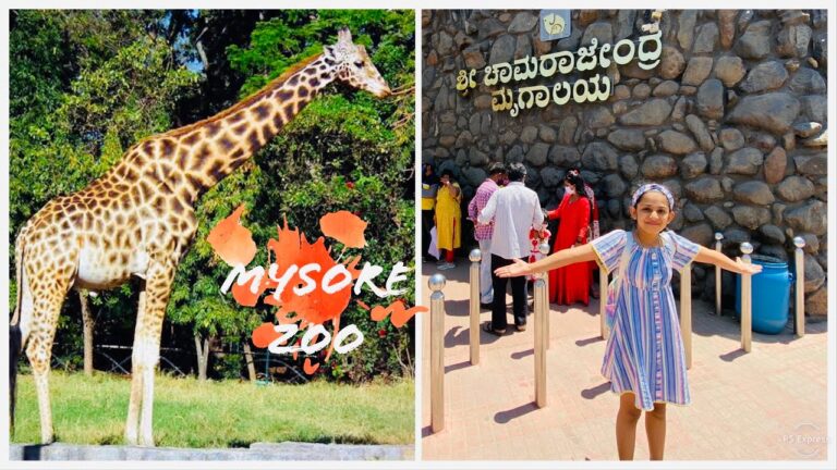 Read more about the article A day in Mysore zoo | Enjoyable time in Mysore zoo |  Journey weblog @Niya Shetty | Mysore Tourisum |