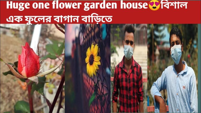 Read more about the article journey weblog  me and my brother we’re going to  finest prime Backyard rose and flower 🌹গোলাপের বাগান