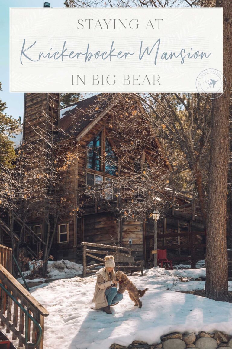 Read more about the article Staying on the Knickerbocker Mansion in Large Bear