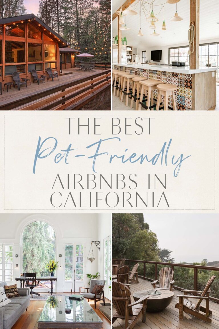 Read more about the article The Greatest Pet-Pleasant Airbnbs in California