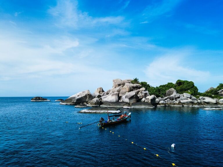 Read more about the article High Koh Tao Diving Websites