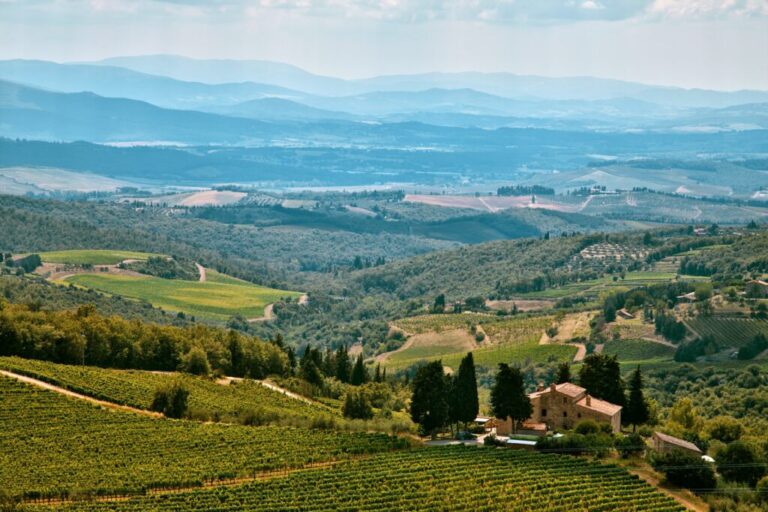 Read more about the article Biking Via the Vineyards of Chianti, Italy