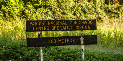 Corcovado Nationwide Park Hike: A Jungle Hike for the Complete Household