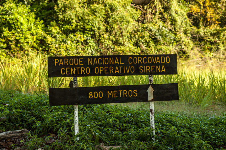 Read more about the article Corcovado Nationwide Park Hike: A Jungle Hike for the Complete Household