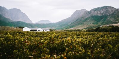 Causes to Add the Franschhoek Wine Area to Your Cape City Itinerary