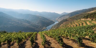 Visiting the Douro Wine Valley in Northern Portugal