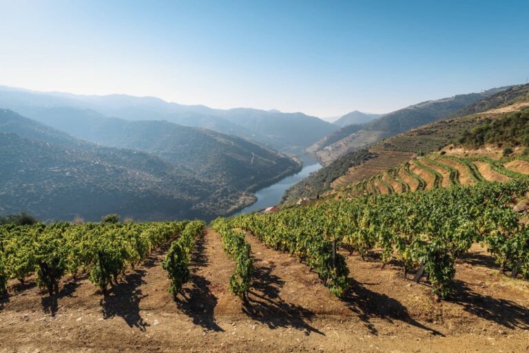 Read more about the article Visiting the Douro Wine Valley in Northern Portugal