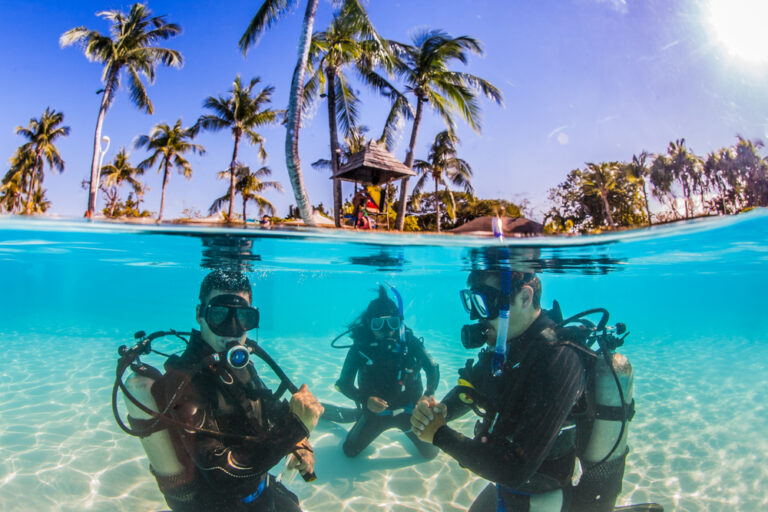 Read more about the article Diving Spots within the Philippines