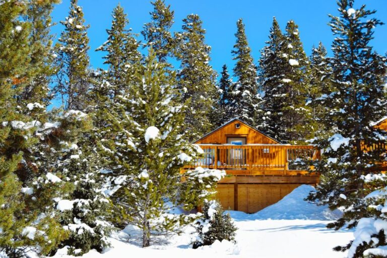 Read more about the article 10 Cozy Cabins to Hire in Alberta, Canada