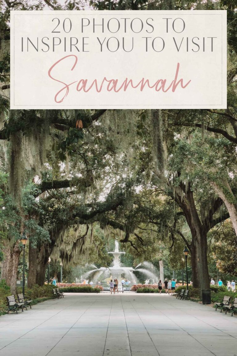Read more about the article 20 Pictures to Encourage You to Go to Savannah