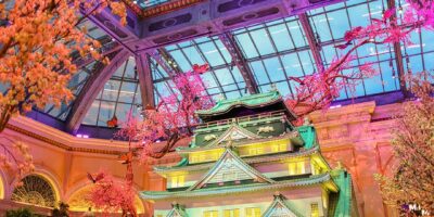 Bellagio Conservatory & Botanical Gardens – What You Must Know