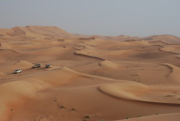 Read more about the article All You Have to Learn about Dune Bashing in Dubai