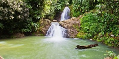 61 Finest Issues To Do in Grenada, Caribbean