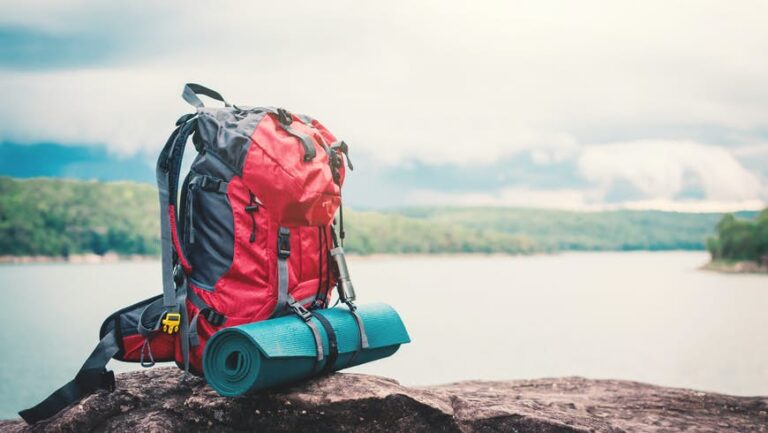 Read more about the article The right way to pack like a professional for a backpacking journey in 2022
