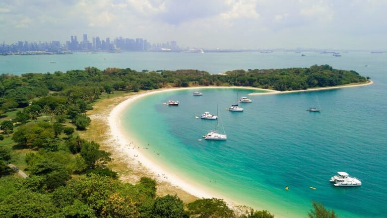 Read more about the article Singapore’s important seashores