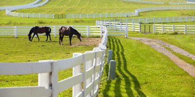 The very best day journeys from Louisville (for a day away from the races)