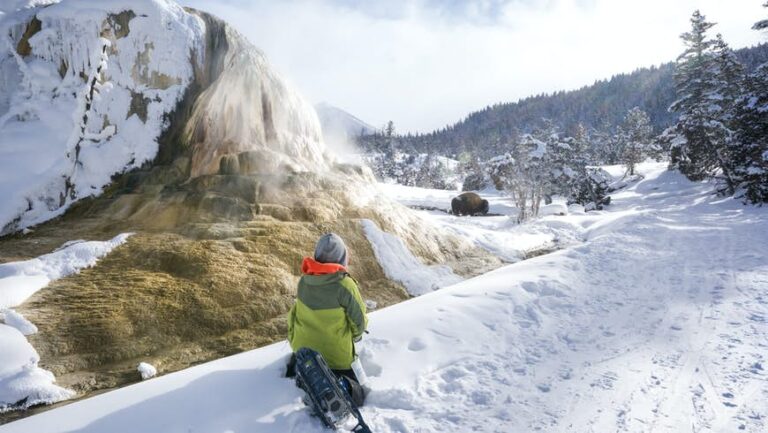 Read more about the article When to go to Wyoming for powwows, powder and Yellowstone thrills