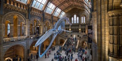 15 high issues to do in England, from the plain to the adventurous and weird