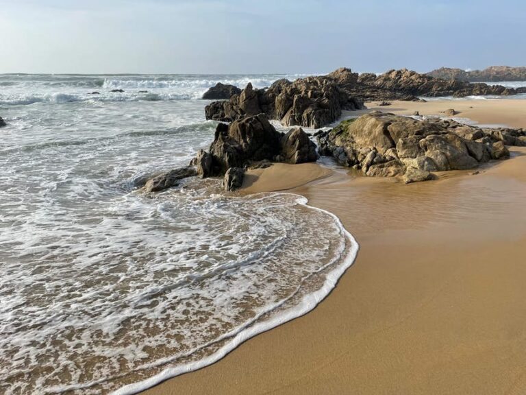 Read more about the article 5 not-to-be-missed seashores outdoors of Porto