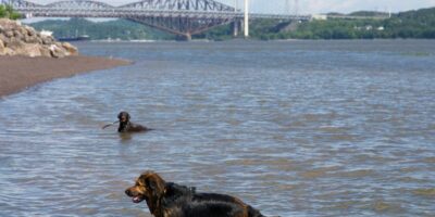 À la plage: the highest spots for a swim close to Québec Metropolis