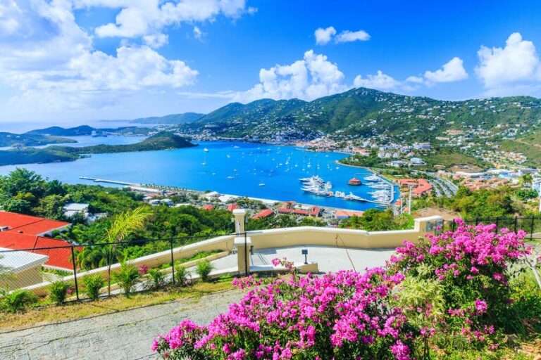 Read more about the article One of the best 7 seashores on St Thomas, US Virgin Islands: snorkel, splash, and chill out