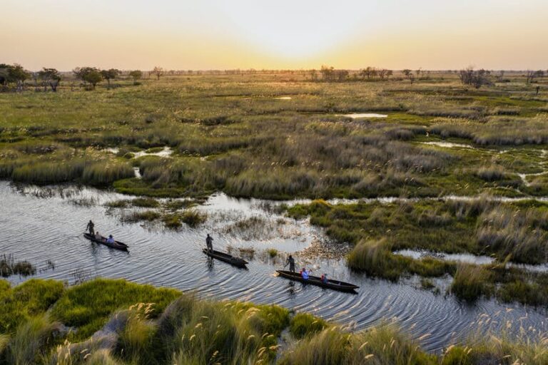 Read more about the article 6 of the very best locations to go to in Botswana, from the Okavango Delta to the Central Kalahari desert