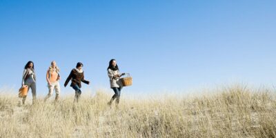 Greatest time to go to Cape Cod for whale watching, Martha's Winery and empty seashores