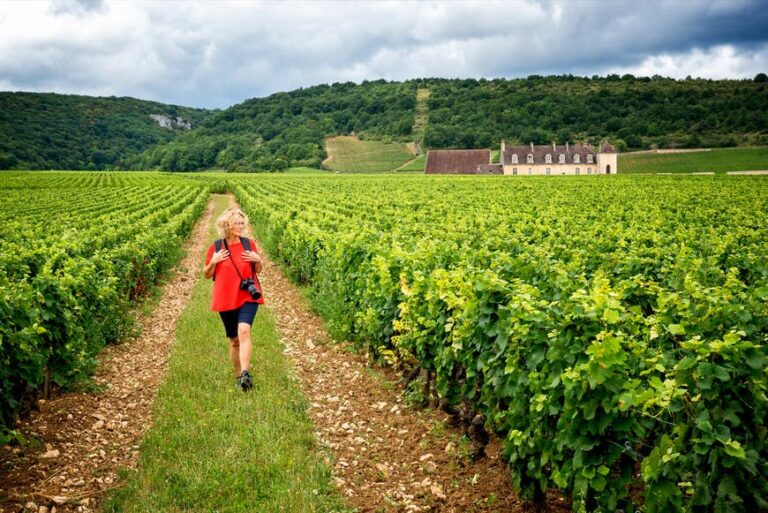 Read more about the article Bonding over Burgundy: Nourishing outside adventures
