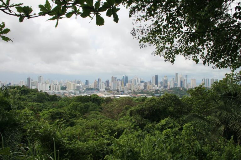 Read more about the article From the town to the jungle: The 7 finest hikes in Panama