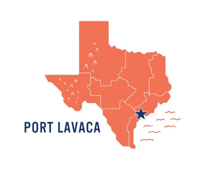 Read more about the article Port Lavaca is a hidden gem for wildlife on the Texas coast