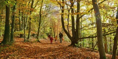 The 5 finest hikes within the Cotswolds