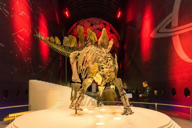 Read more about the article The perfect museums in England: rise up shut and private with dinosaurs, trains and warships