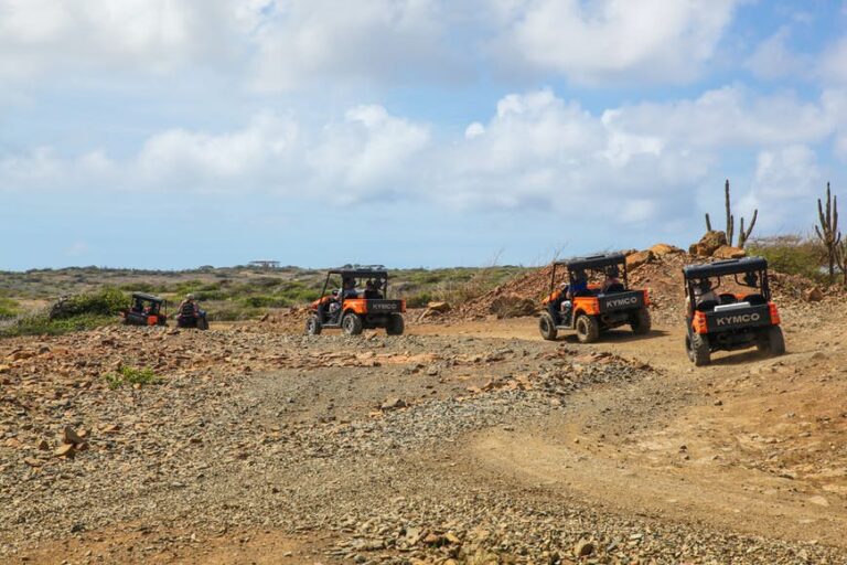 Read more about the article The last word information to Aruba’s Arikok Nationwide Park: high issues to see and do