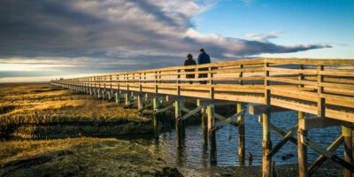 The final word information to visiting Cape Cod on a price range: reductions, financial savings and inexpensive actions