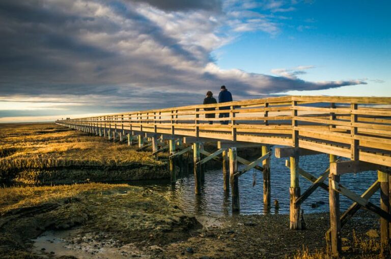Read more about the article The final word information to visiting Cape Cod on a price range: reductions, financial savings and inexpensive actions