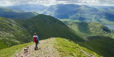 High ideas for touring along with your canine in Britain this summer season
