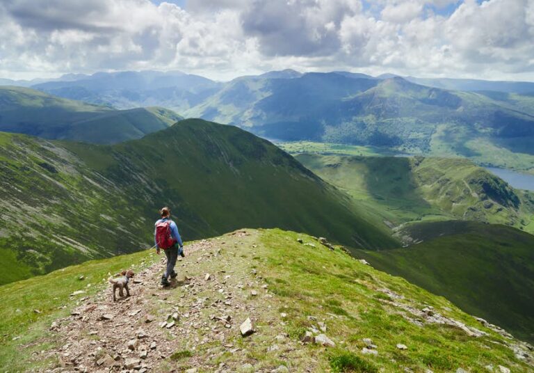 Read more about the article High ideas for touring along with your canine in Britain this summer season