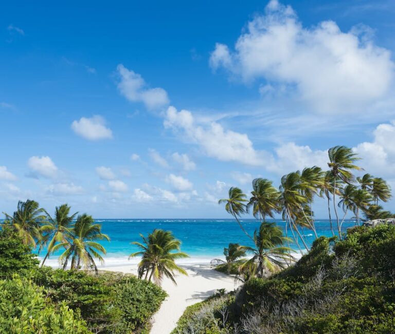 Read more about the article Barbados' 14 greatest seashores serve up solar, enjoyable and meals