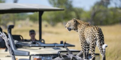 The best way to get round in Botswana, from 4WD safaris to canoe excursions