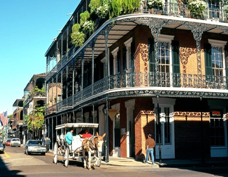 Read more about the article 20 free issues to do in New Orleans: expertise the town on a price range