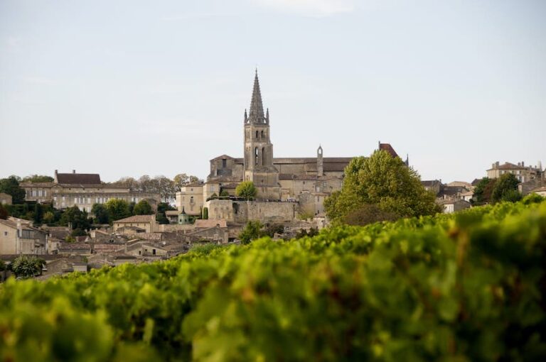 Read more about the article France’s greatest wine areas: a information to the best touring routes, tastings and terroir