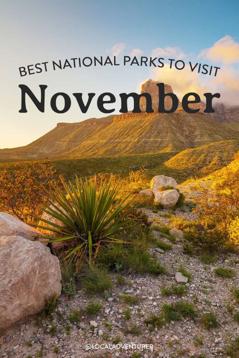 Read more about the article 11 Greatest Nationwide Parks to Go to in November
