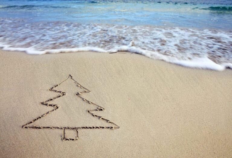Read more about the article 5 greatest Caribbean locations to have a good time Christmas this 12 months