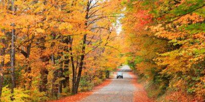 The 5 greatest highway journeys in Maine showcase mountains, fall foliage and Acadia Nationwide Park