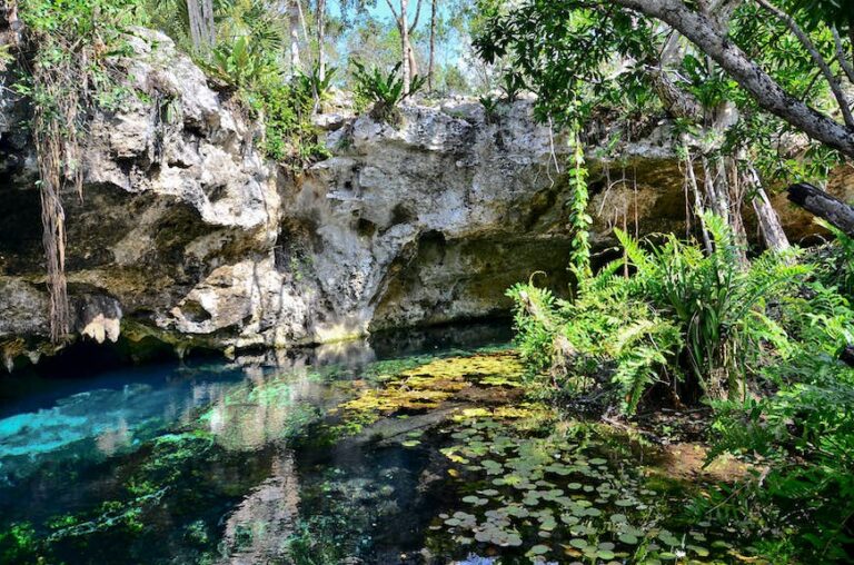 Read more about the article 5 of the easiest day journeys from Tulum