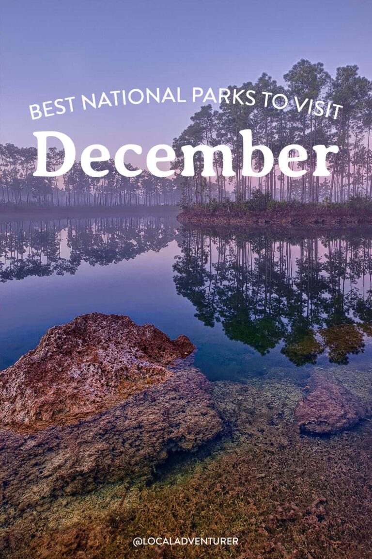 Read more about the article 9 Finest Nationwide Parks to Go to in December