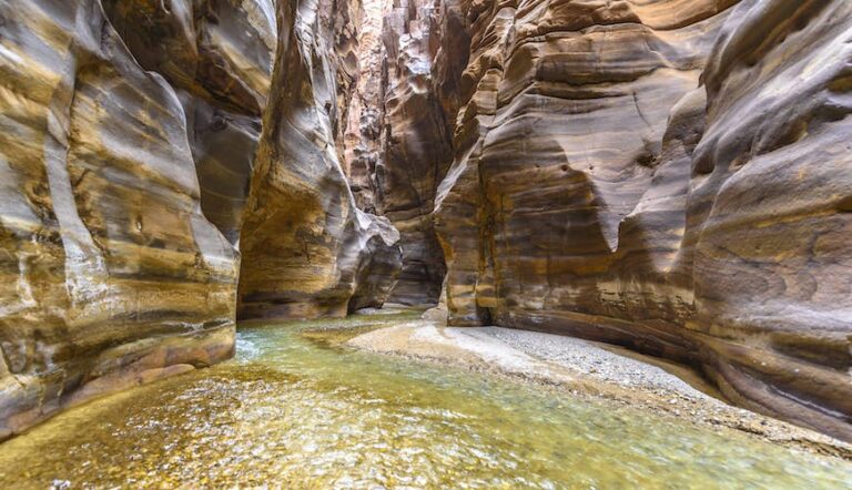 Read more about the article The 7 finest hikes in Jordan discover deserts, wadis and world wonders